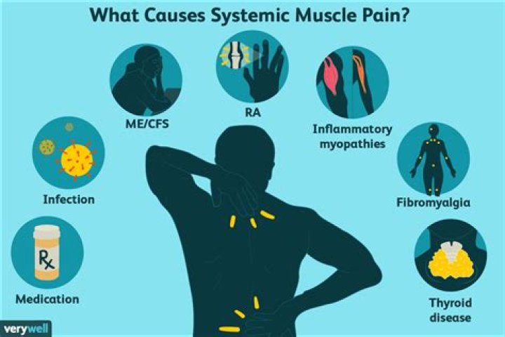 How is muscle disease diagnosed