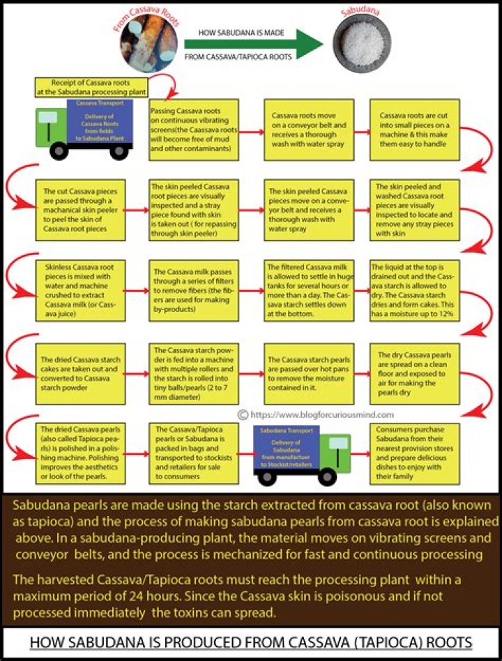 How is Sabudana obtained