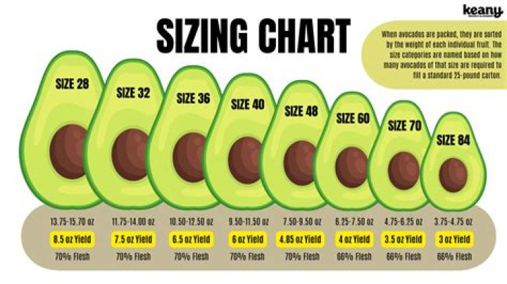 How large do avocados get