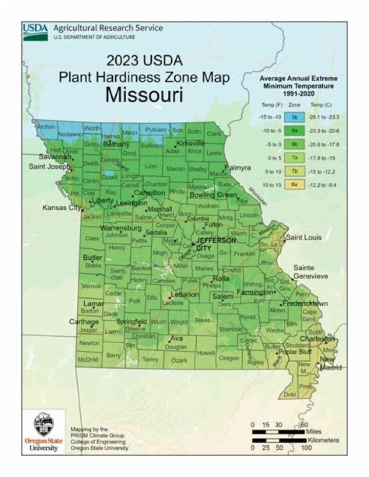 How late can you plant grass seed in Missouri