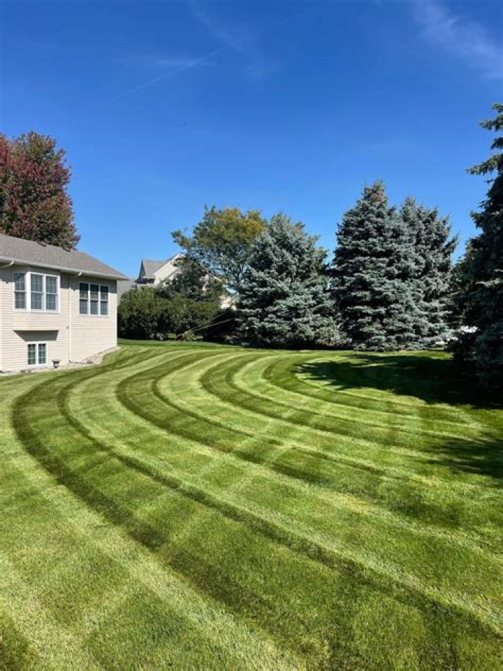 How late is too late for grass