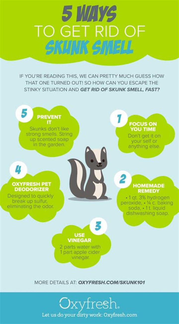How long do you boil vinegar to get rid of skunk smell