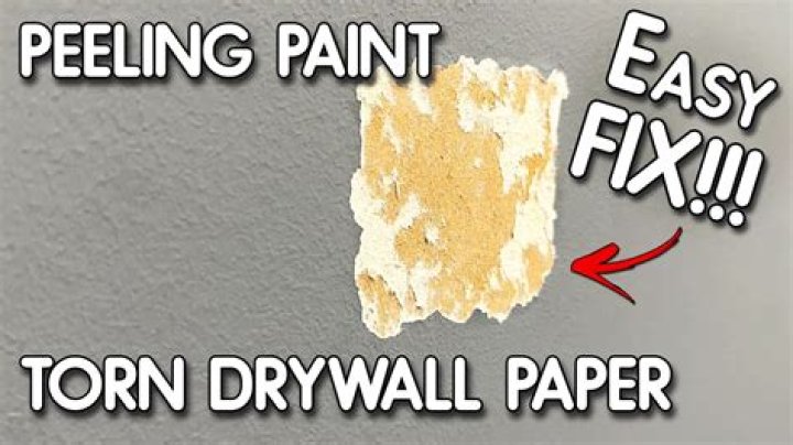 How long do you have to wait to Prime drywall