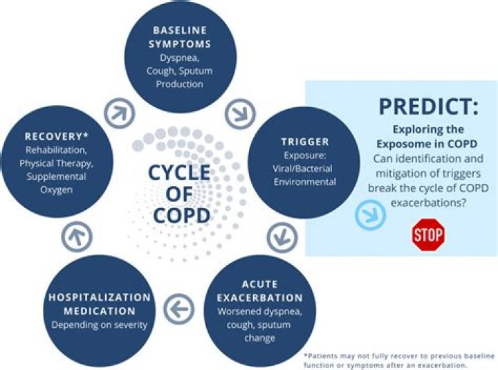 How long does a COPD exacerbation last