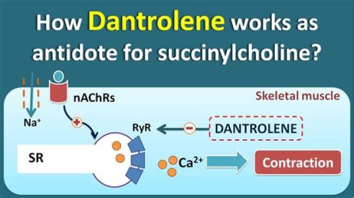 How long does dantrolene stay in system