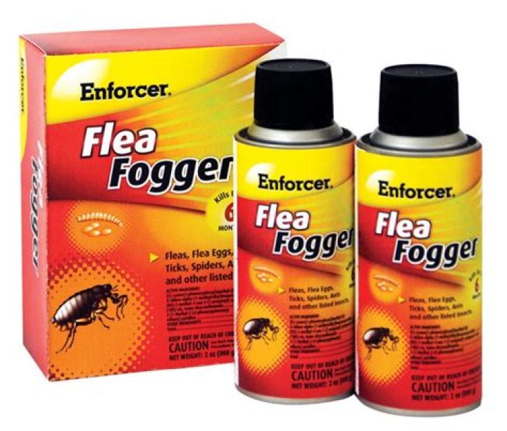 How long does fogger take to kill fleas