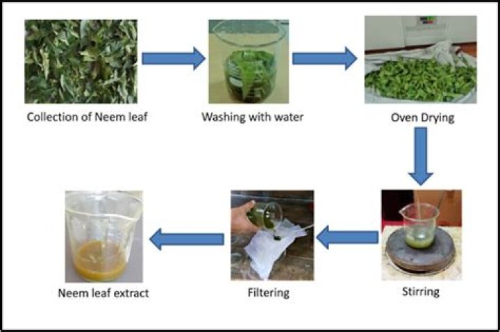 How long does neem oil solution last