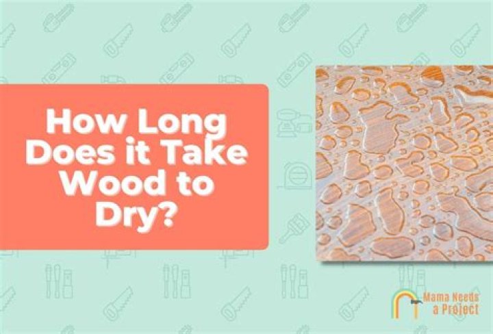 How long does Timber Oil take to dry