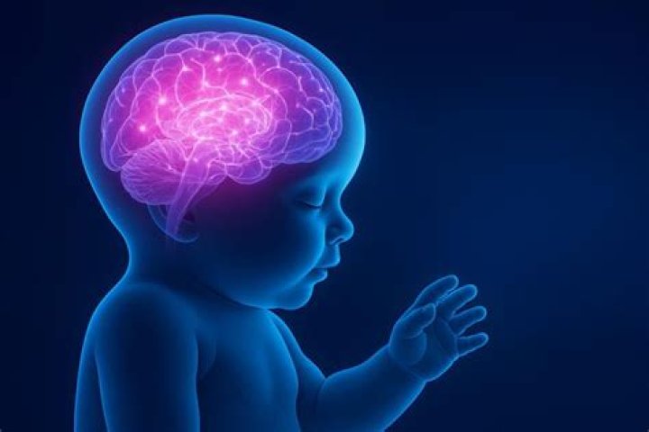 How long is an infants memory