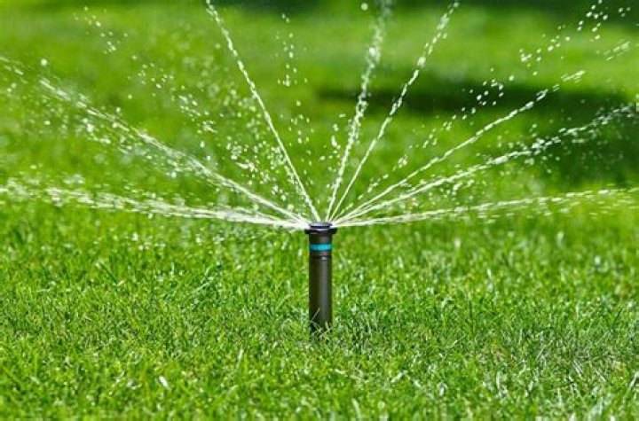 How long should I run my sprinklers in Florida