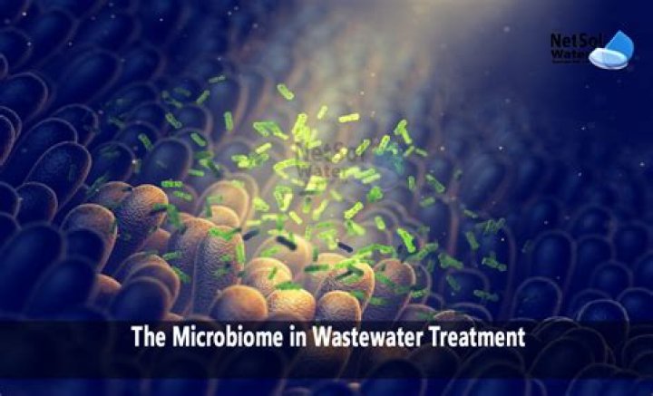 How long should water lines be flushed to reduce microbial counts at the beginning of the day