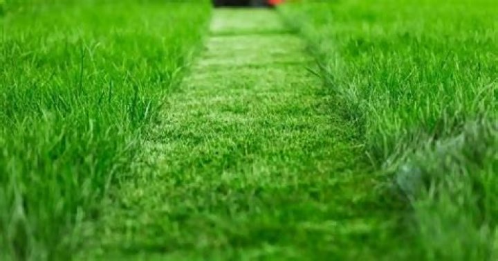 How long should you keep horses off pasture after fertilizing