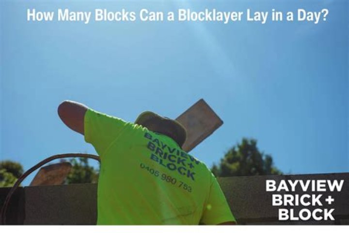 How many blocks can a block layer lay in a day