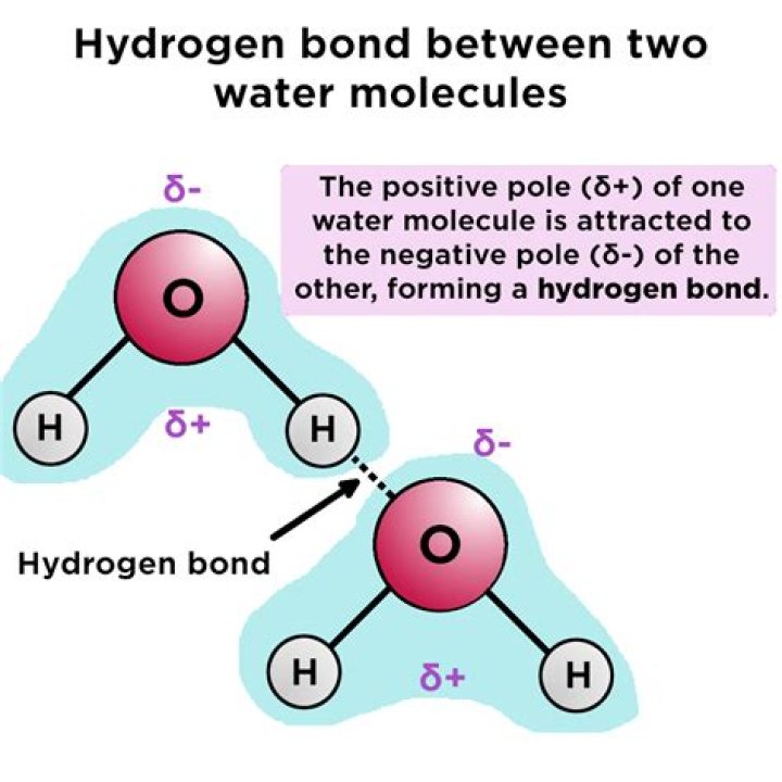 How many bonds are in water