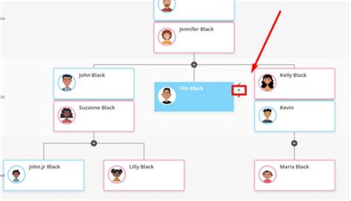 How many divorced parents remarry