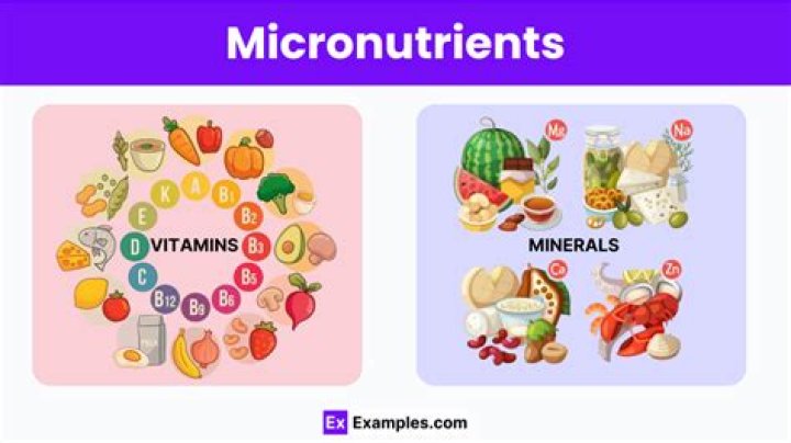 How many micronutrients do I need