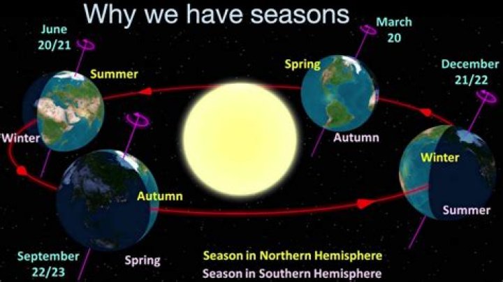 How many seasons does Paradise PD have