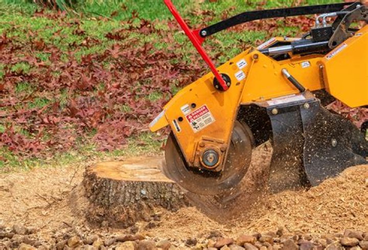 How many stumps could a team of men and horses pull out in a day with a tree stump puller