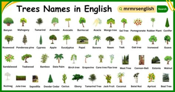 How many trees are in London