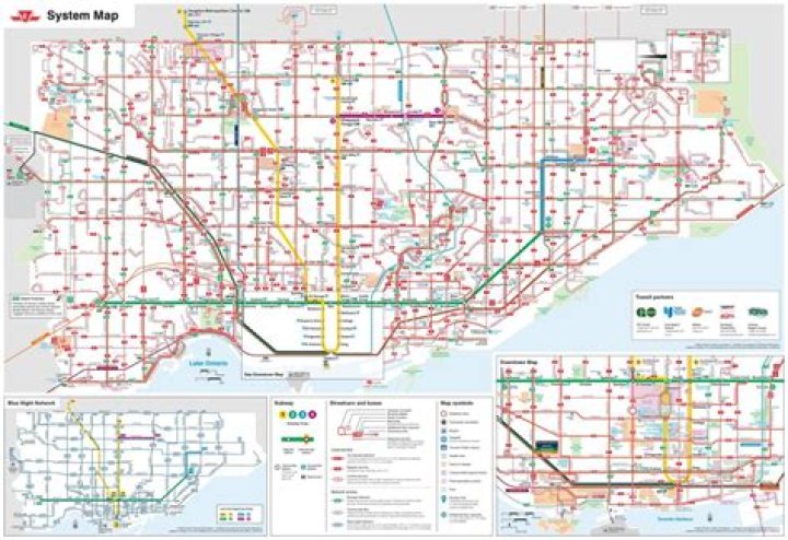 How many TTC bus routes are there