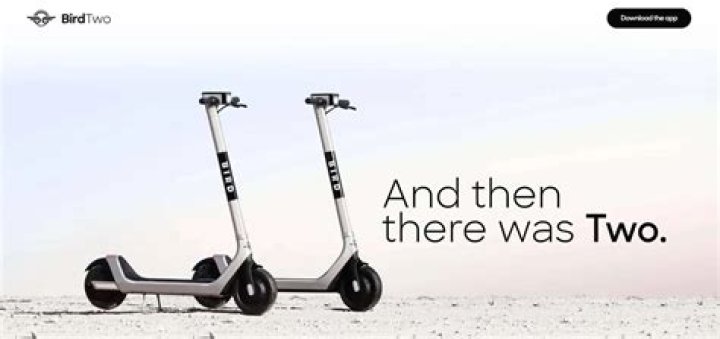 How much do bird scooters weigh