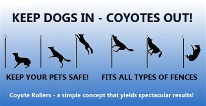 How much do coyote rollers cost