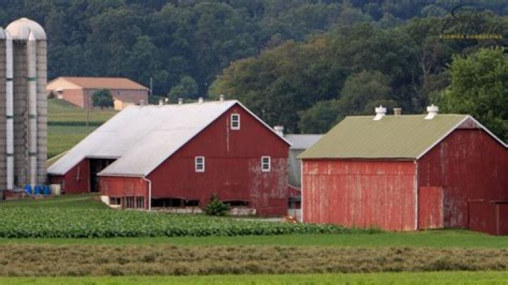 How much do Morton buildings cost