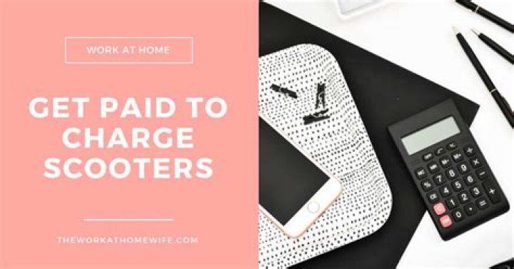 How much do you get paid to charge bird