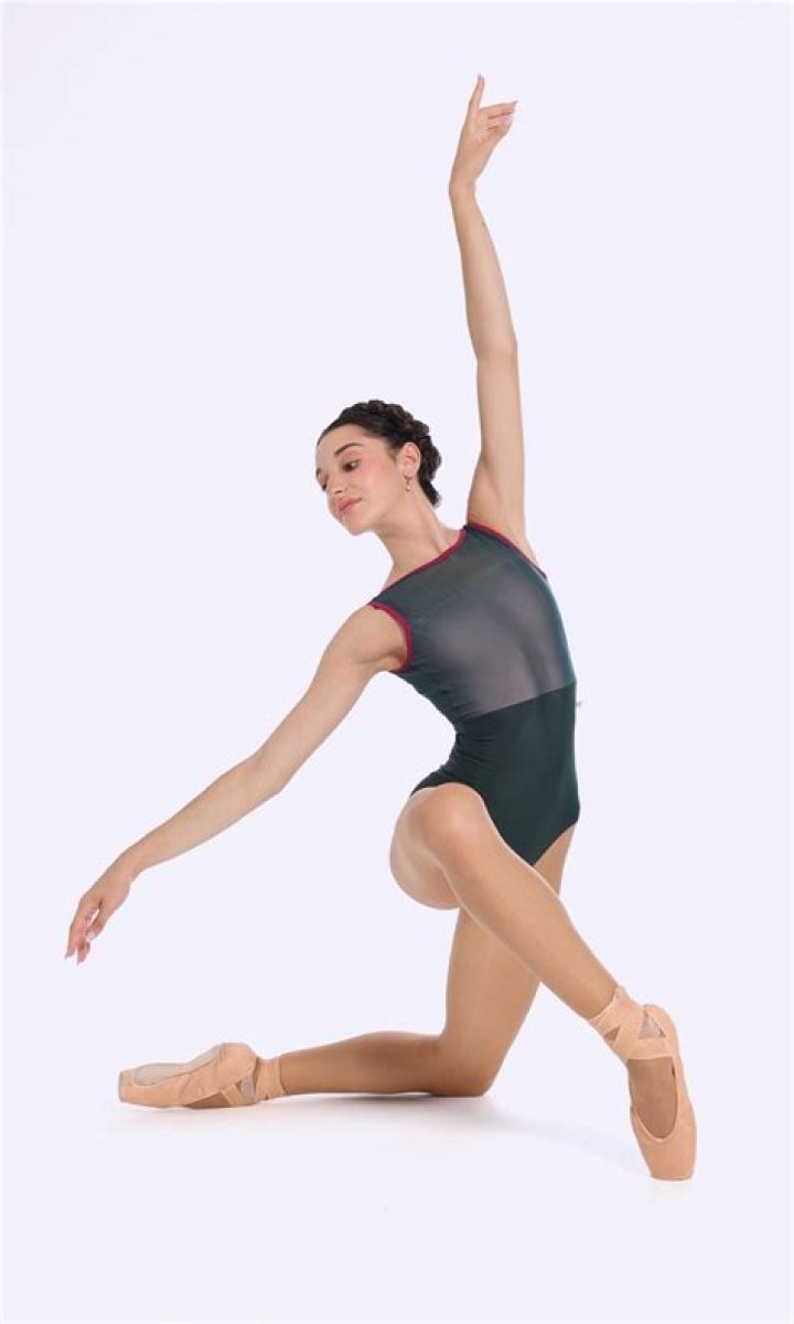 How much does a ballet leotard cost