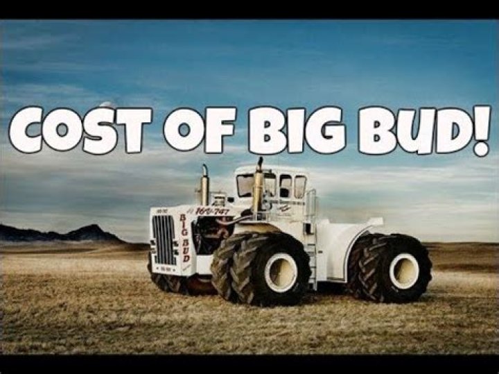 How much does a big bud cost
