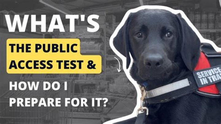 How much does a public access test cost