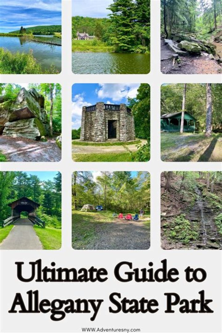 How much does it cost to get into Allegany State Park