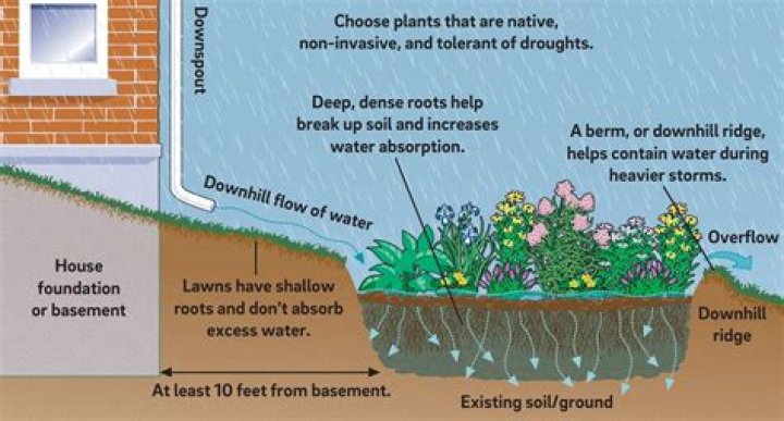 How much does it cost to make a rain garden