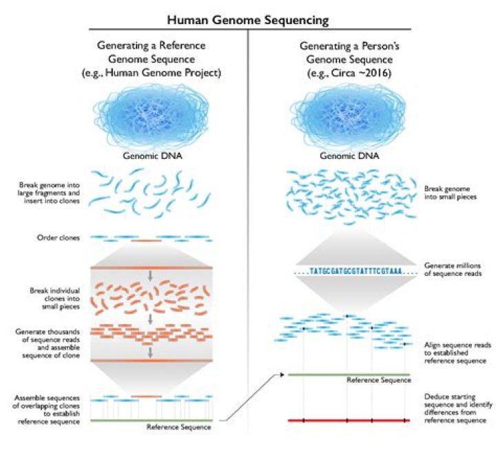 How much does whole exome sequencing cost