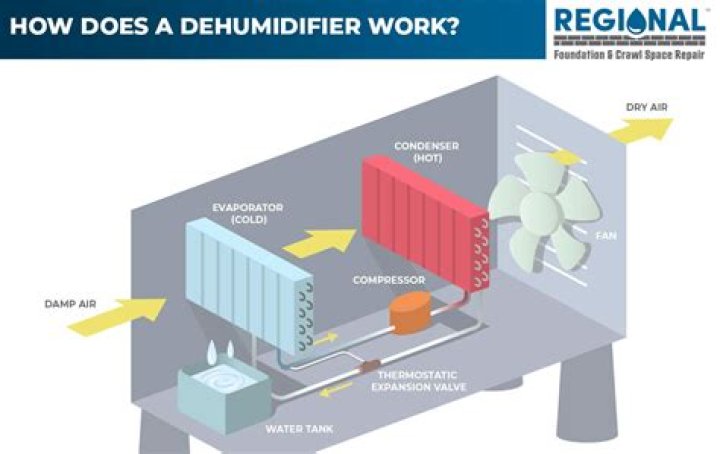 How much is a dehumidifier for a crawl space