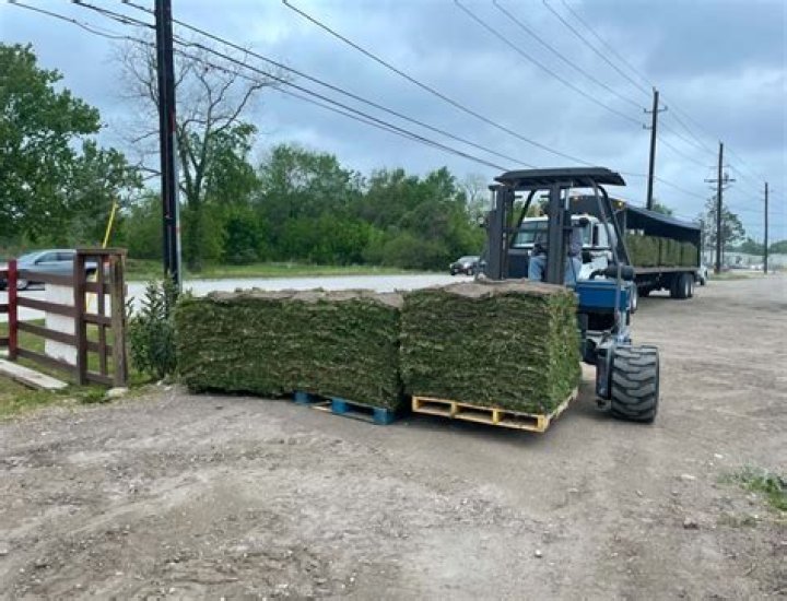 How much is a pallet of grass cost