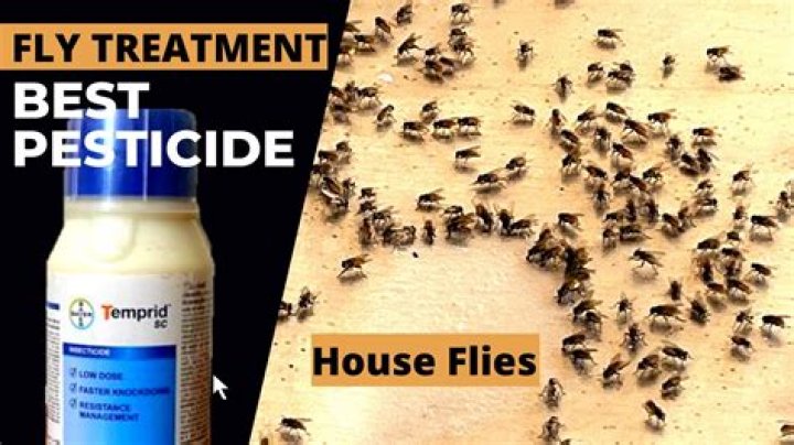How much is pest control for flies