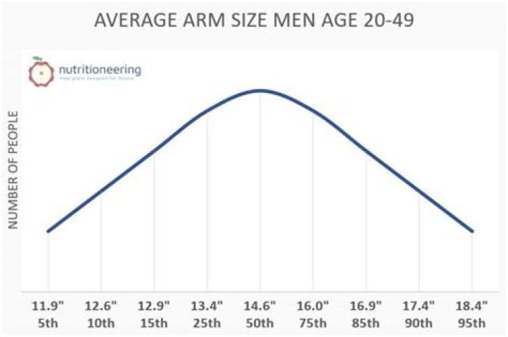 How old is the average model