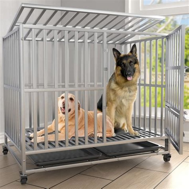 Is a 42 inch crate big enough for a German shepherd