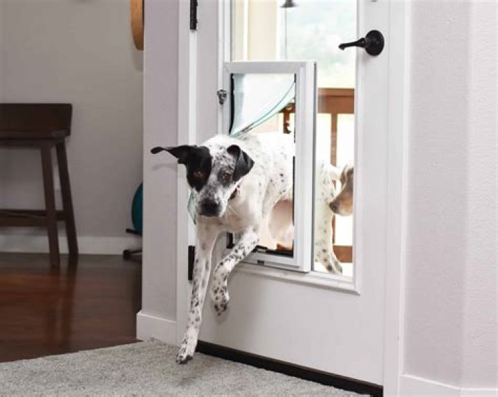 Is a doggie door a good idea