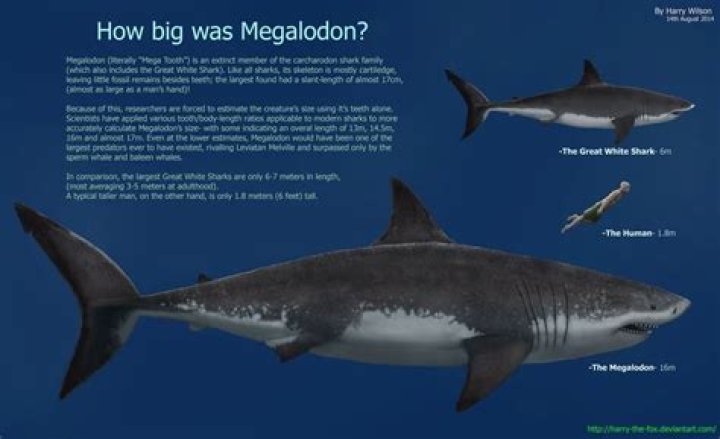 Is a megalodon a dinosaur