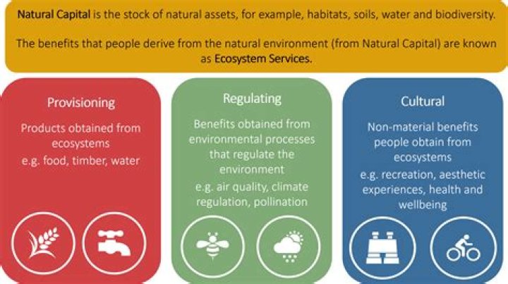 Is air a natural capital