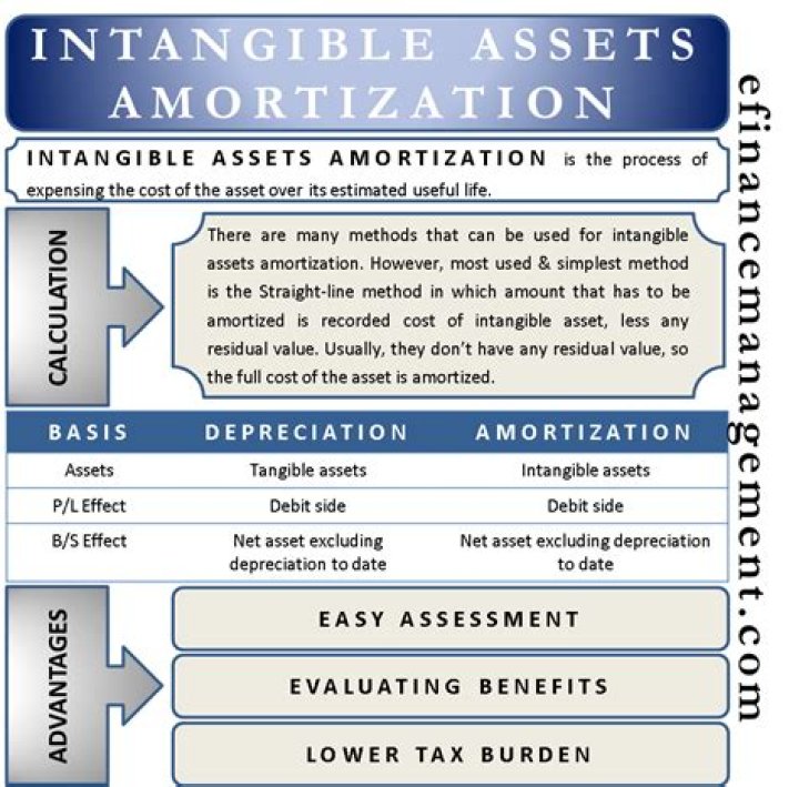 Is Amortization an asset