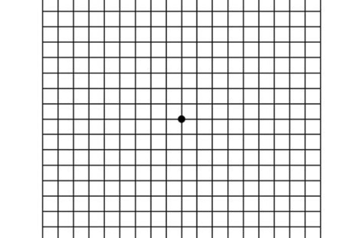 Is Amsler Grid accurate