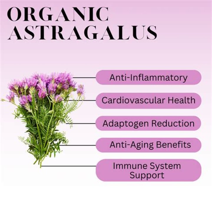 Is Astragalus good for sleep