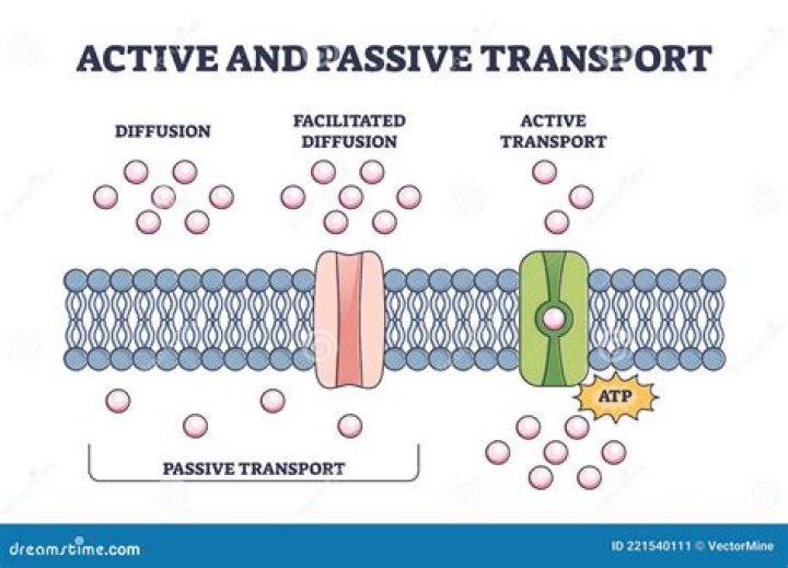 Is ATP required for passive transport