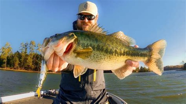 Is bass fishing good in November