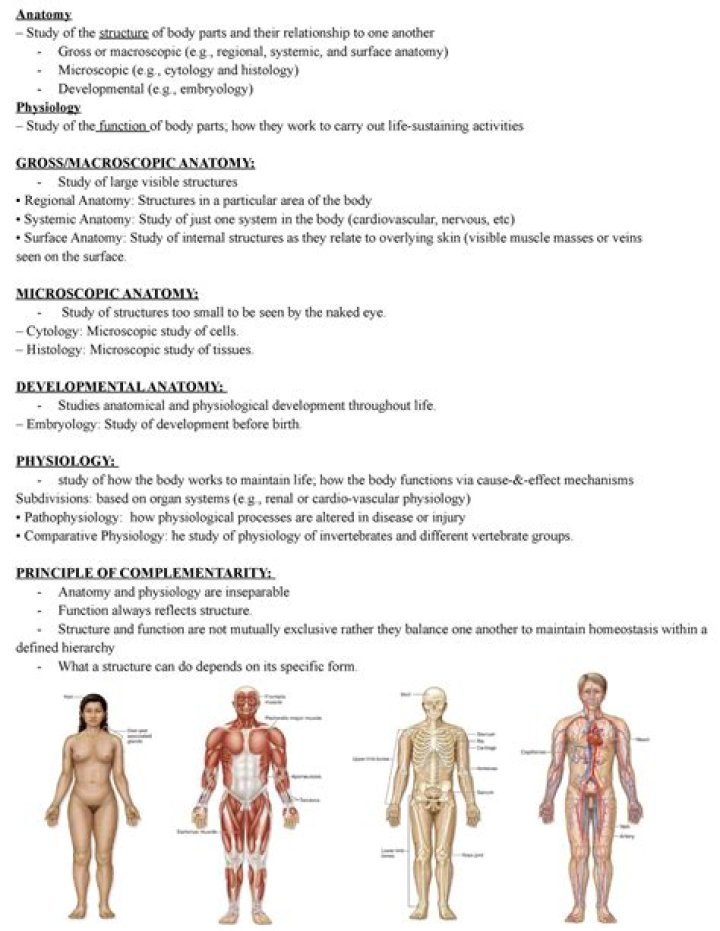 Is biology the study of the human body