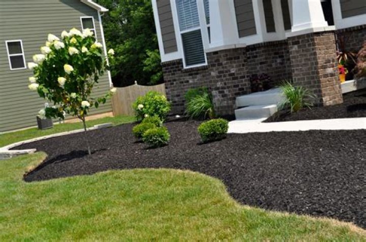 Is black dyed mulch safe