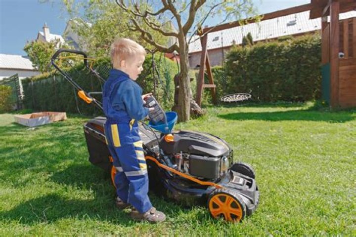 Is car oil and lawn mower oil the same